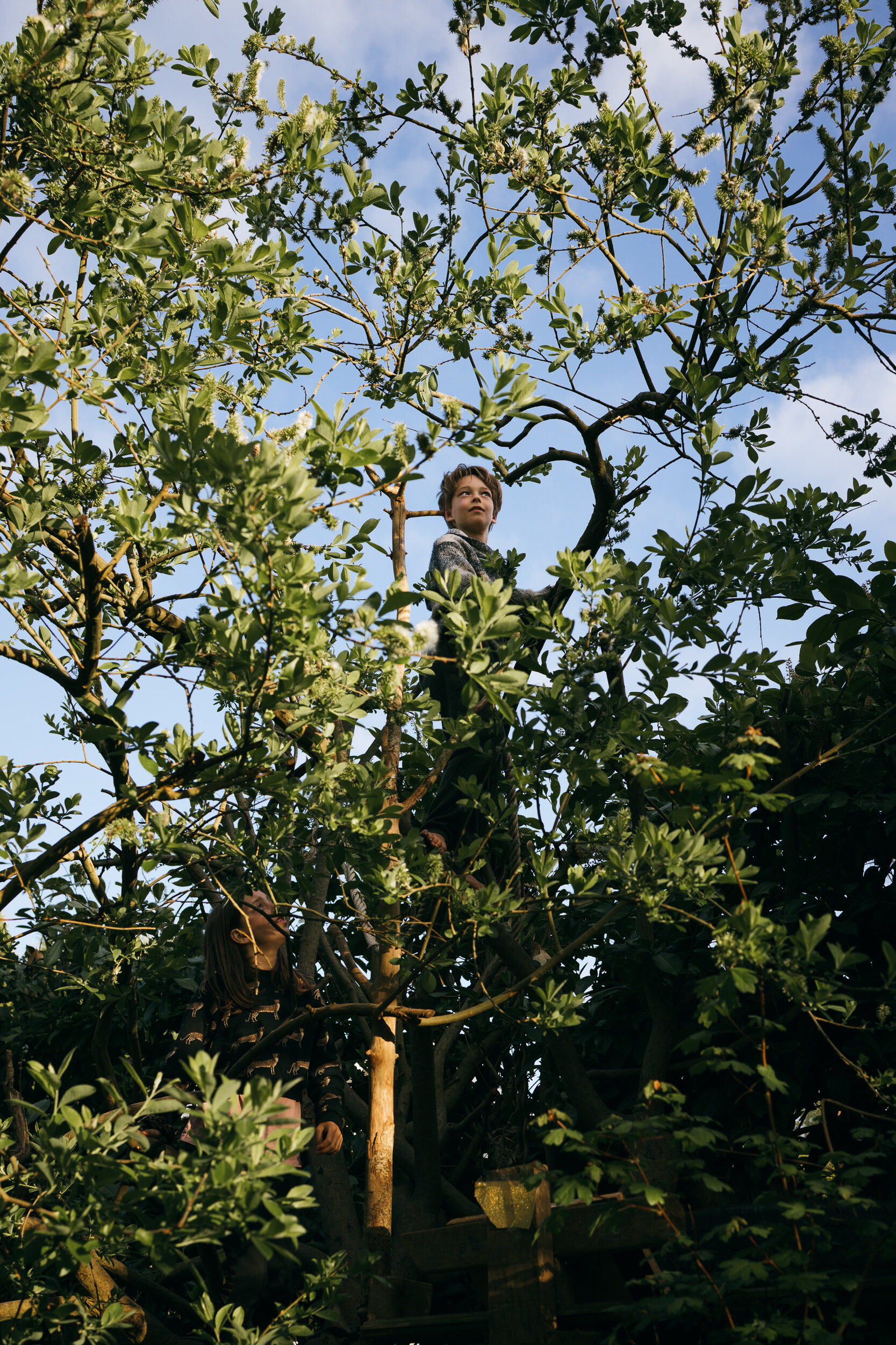 Een Plek Onder de Zon